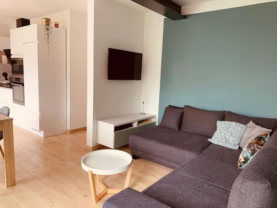Maison En Plein Centre Avec Terrasse Et Jardin Виелсалм Екстериор снимка
