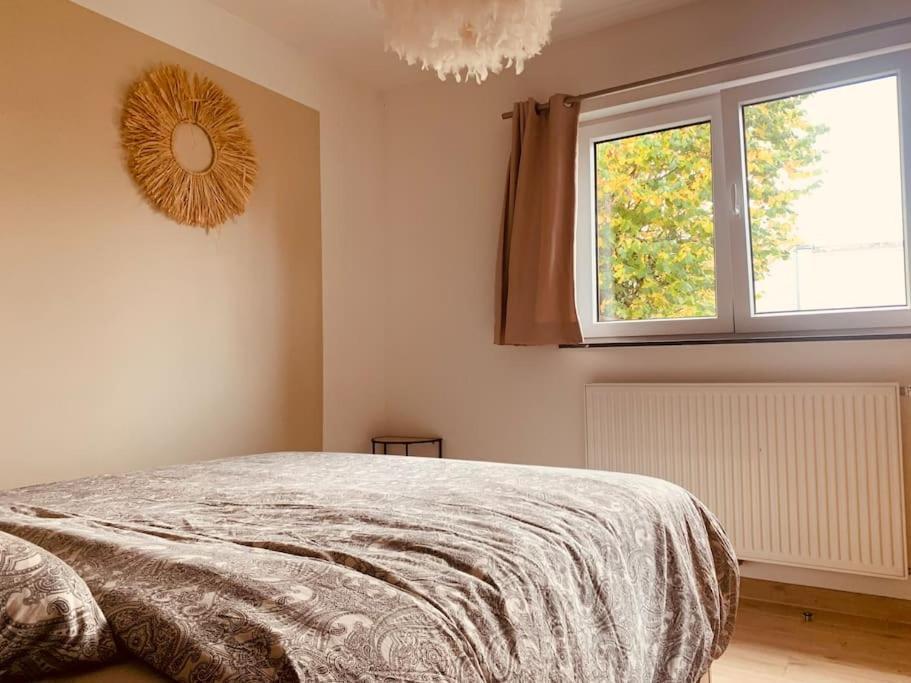 Maison En Plein Centre Avec Terrasse Et Jardin Виелсалм Екстериор снимка